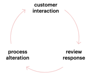 customer feedback loop for reviews.