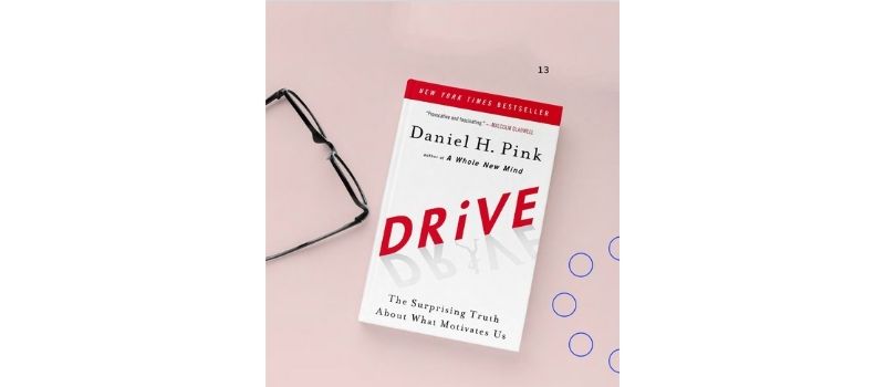 Drive Book Cover