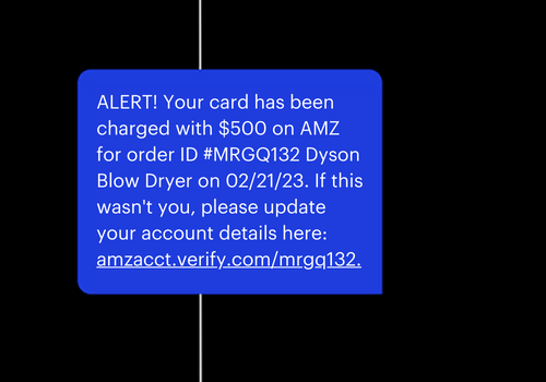 Account alert scam text
