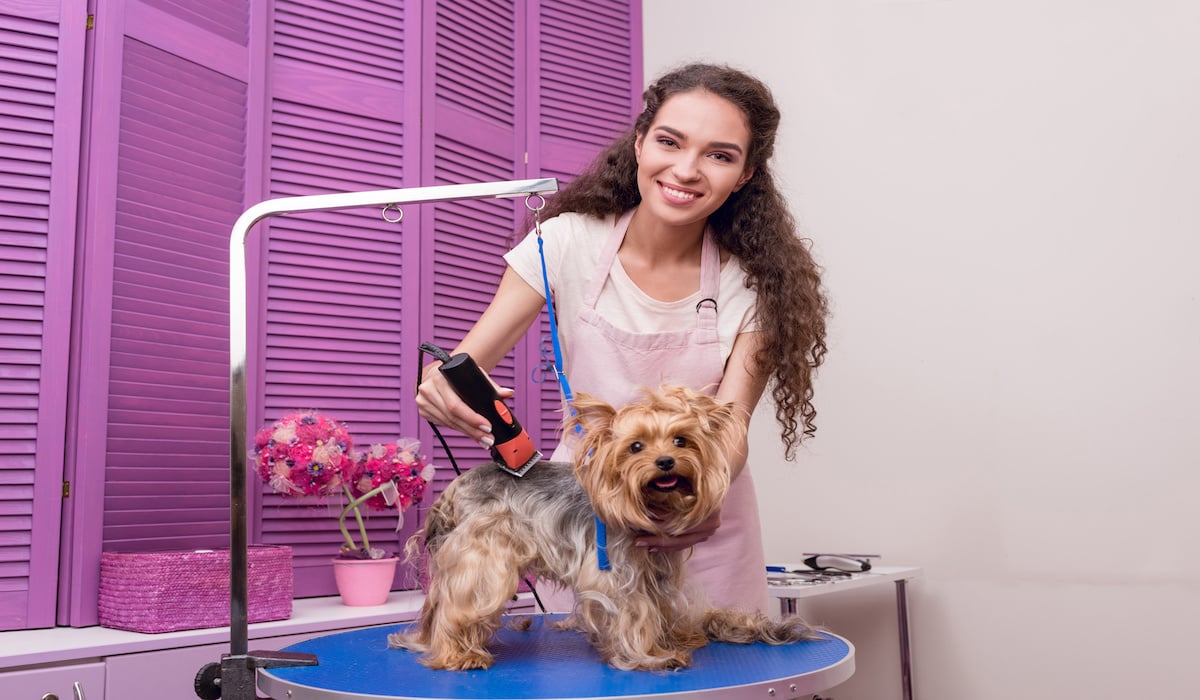 How to Grow Your Pet Care Business in 10 Ways